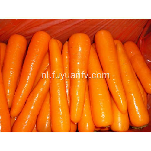 Fresh Carrot nieuw gewas